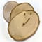 Wilson® Enterprises 30 Pack Medium Basswood Plaque Seconds